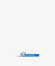 Kentucky Wildcats Wristlet Wallet