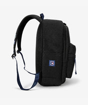 MLB Tampa Bay Rays Laptop Backpack