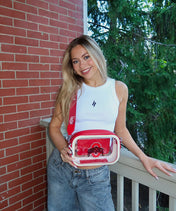 Ohio State Buckeyes Clear Camera Bag